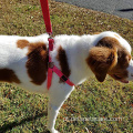 Arnês de cães ajustável para caminhada ao ar livre